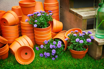  Vente de poterie : Embellissez votre jardin avec nos poteries de qualité.